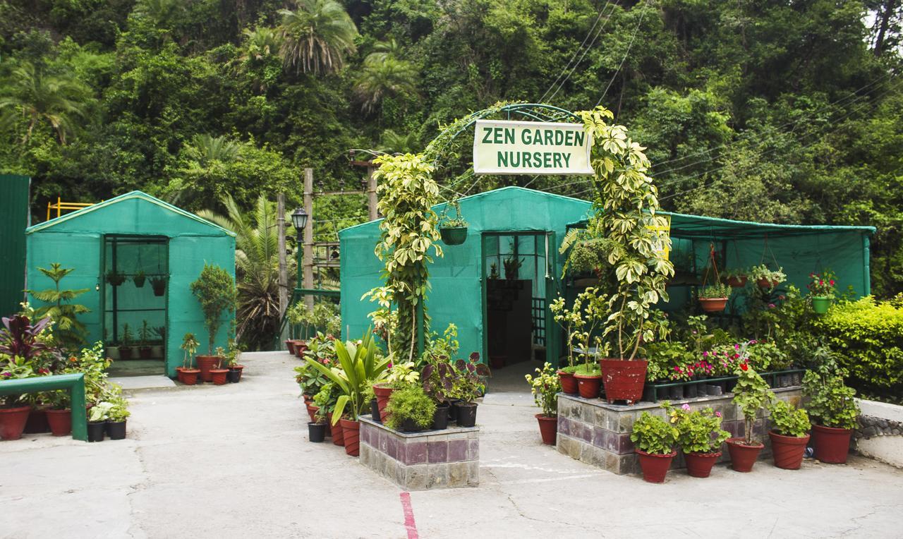 Savoy Greens Hotel Kasauli Exterior foto